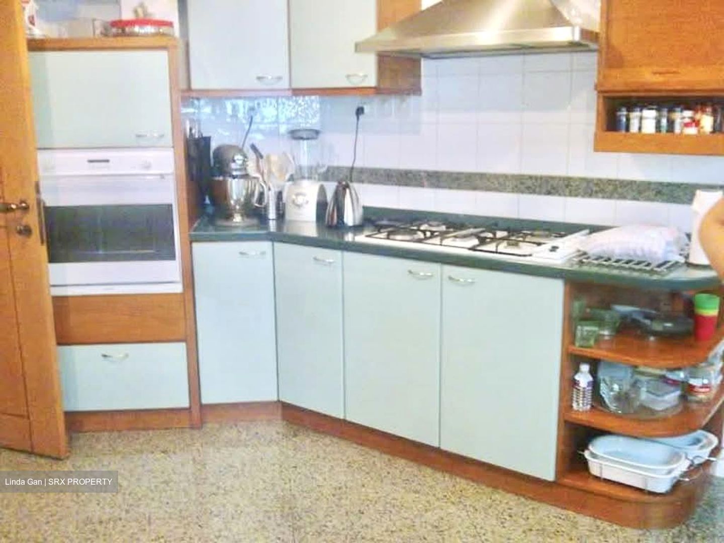 The Legend (D10), Condominium #562139521